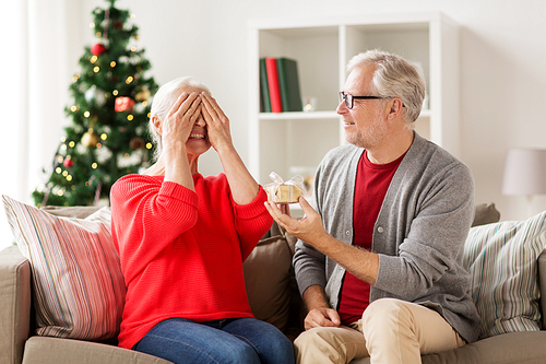 christmas, holidays and people concept - happy smiling senior couple with gift box at home