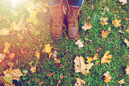 season, footwear and people concept - female feet in boots with autumn leaves on grass