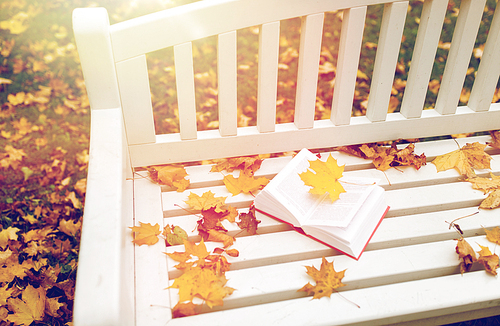 season, education and literature concept - open book on bench in autumn park