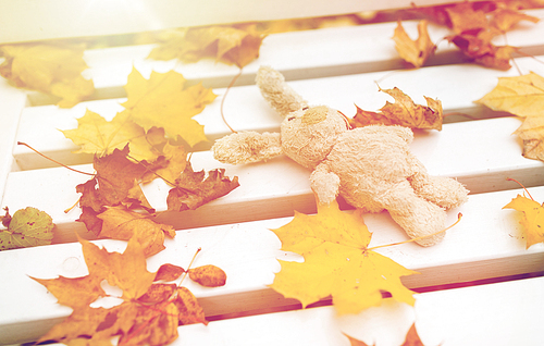 season, childhood and loneliness concept - lonely toy rabbit on bench in autumn park