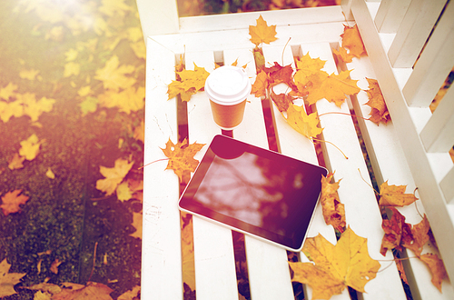 season, technology and advertisement concept - tablet pc computer and coffee paper cup on bench in autumn park