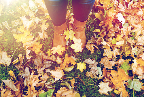 season and people concept - female feet in boots with autumn leaves on ground