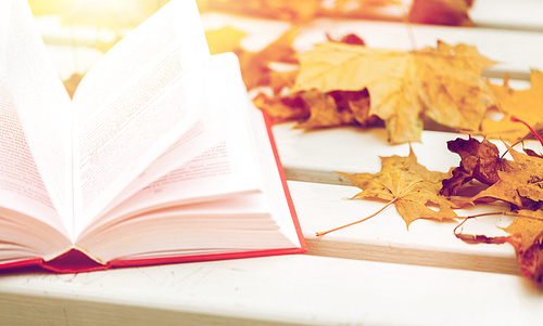 season, education and literature concept - open book and autumn leaves on park bench