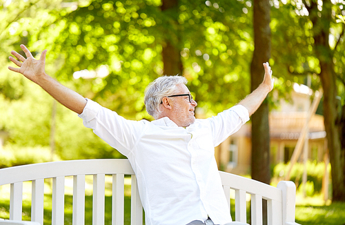 old age, retirement and people concept - happy senior man in glasses sitting on bench at summer park