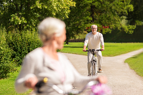 active old age, people and lifestyle concept - happy senior couple riding bicycles at summer park