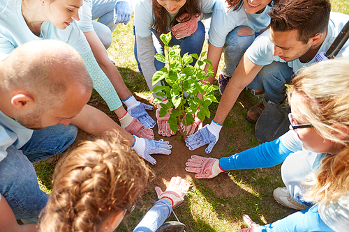 volunteering, charity, people and ecology concept - group of happy volunteers planting tree in park