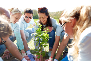 volunteering, charity, people and ecology concept - group of happy volunteers planting tree in park
