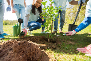 volunteering, charity, people and ecology concept - group of volunteers hands planting tree seedling in park