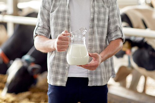 agriculture industry, farming, people and animal husbandry concept - close up of young man or farmer with cows milk in jug at cowshed on dairy farm