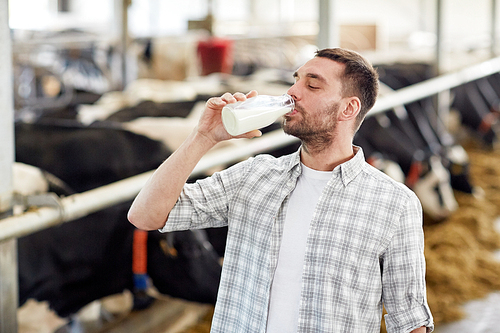 agriculture industry, farming, people and animal husbandry concept - happy young man or farmer drinking cows milk from bottle in cowshed on dairy farm