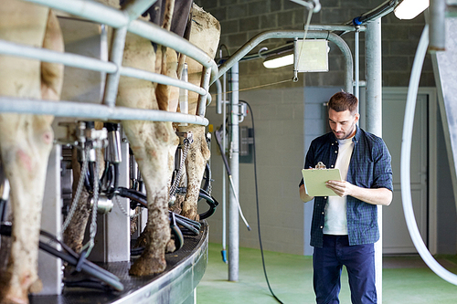 agriculture industry, farming, people, milking and animal husbandry concept - young man or farmer with clipboard and cows at rotary parlour system on dairy farm