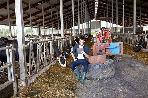 agriculture industry, farming, people, technology and animal husbandry concept - young man or farmer with tablet pc computer and cows in cowshed on dairy farm