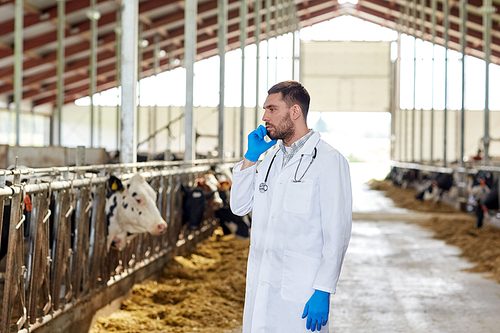 agriculture industry, farming, people and animal husbandry concept - veterinarian or doctor calling on smartphone with cows in cowshed on dairy farm