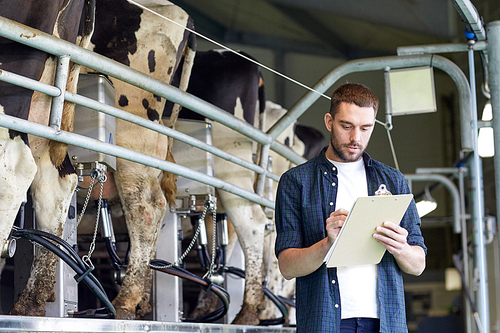 agriculture industry, farming, people, milking and animal husbandry concept - young man or farmer with clipboard and cows at rotary parlour system on dairy farm