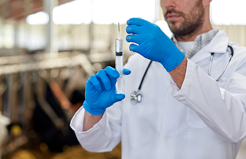 agriculture industry, farming, medicine, animal vaccination and people concept - veterinarian or doctor hand with vaccine in syringe at cowshed on dairy farm