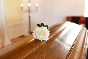 funeral and mourning concept - white rose flower on wooden coffin in church