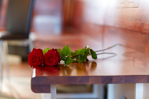 funeral and mourning concept - red roses on bench in church