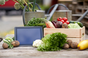 harvest, food and agriculture concept - close up of vegetables with tablet pc computer on farm