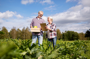 farming, gardening, agriculture, harvest and people concept - happy senior couple with squashes and clipboard at farm