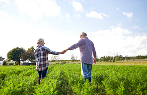 farming, gardening, agriculture and people concept - happy senior couple holding hands at summer farm