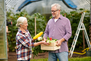 farming, gardening, agriculture, harvesting and people concept - senior couple with box of cucumbers at farm greenhouse