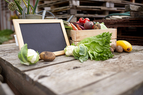 harvest, food and agriculture concept - close up of vegetables with chalkboard on farm