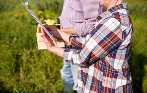 farming, gardening, agriculture, harvest and people concept - happy senior couple with squashes and clipboard at farm