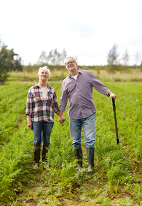 farming, gardening, agriculture and people concept - happy senior couple at summer farm