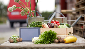 harvest, food and agriculture concept - close up of vegetables with tablet pc computer on farm