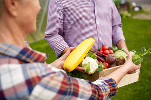 farming, gardening, agriculture, harvesting and people concept - senior couple with box of vegetables at farm