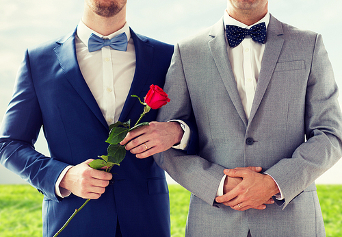 people, homosexuality, same-sex marriage and love concept - close up of happy male gay couple with red rose flower holding hands on wedding over blue sky and grass background