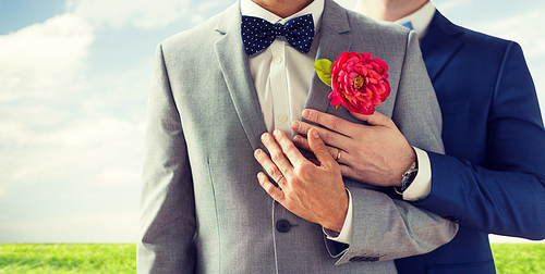 people, homosexuality, same-sex marriage and love concept - close up of happy married male gay couple in suits with buttonholes and bow-ties on wedding over blue sky and grass background
