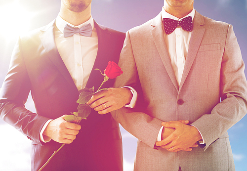 people, homosexuality, same-sex marriage and love concept - close up of happy male gay couple with red rose flower holding hands on wedding over sky and sun background