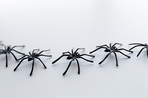 halloween, decoration and scary concept -  toy spiders chain on white background