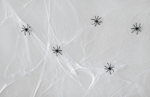 halloween and decoration concept - black toy spiders on artificial cobweb