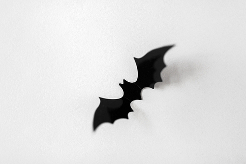 halloween, decoration and scary concept - black bat over white background