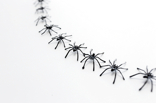 halloween and decoration concept -  toy spiders chain over white background