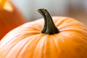 vegetables, harvest and  concept - close up of pumpkin with stem