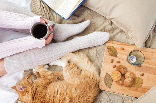 pets, hygge and people concept - woman with coffee, book, cookies and red tabby cat sleeping on blanket at home in autumn