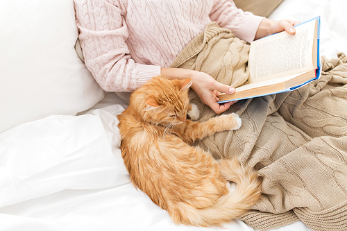 pets, hygge and people concept - red tabby cat and female owner reading book in bed at home