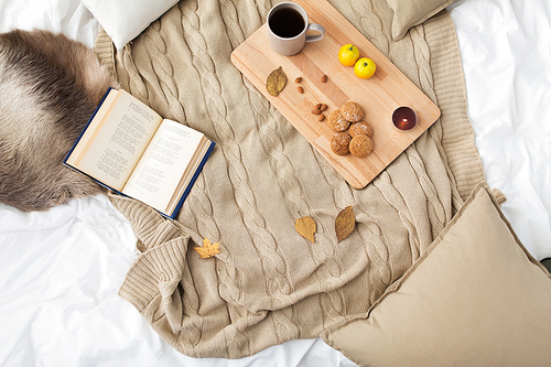 hygge and cozy home concept - cookies, lemon tea, book and leaves in bed
