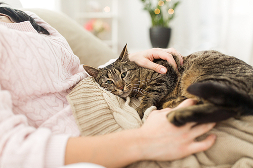 pets, hygge and people concept - close up of female owner with tabby cat in bed at home