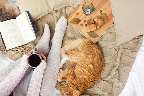 pets, hygge and people concept - woman with coffee, book, cookies and red tabby cat sleeping on blanket at home in autumn