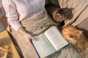 hygge, literature and people concept - close up of red and tabby cat and female owner reading book in bed at home