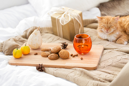 hygge and christmas concept - oatmeal cookies, candle, gift and red tabby cat lying in bed