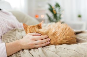 pets, hygge and people concept - close up of female owner with red tabby cat in bed at home