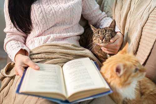 pets, hygge and people concept - close up of red and tabby cat and female owner reading book in bed at home