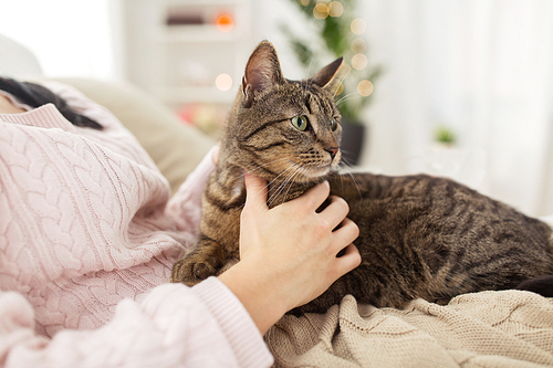pets, hygge and people concept - close up of female owner with tabby cat in bed at home