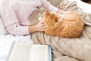 pets, hygge and people concept - close up of female owner stroking red tabby cat in bed at home