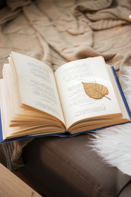 literature, reading and poetry concept - book with autumn leaf on page on sofa at home